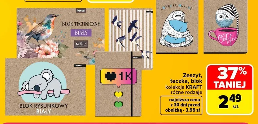 Teczka Rexus kolekcja Kraft promocja w Carrefour Market