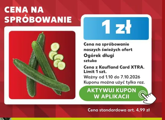 Ogórek długi promocja w Kaufland