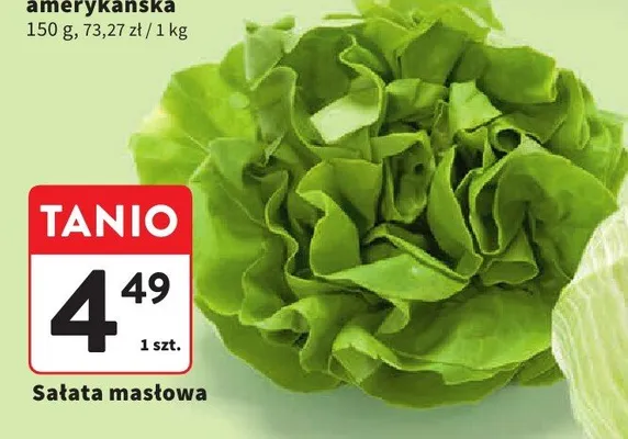 Sałata masłowa promocja w Intermarche