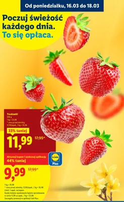 Truskawki promocja w Lidl