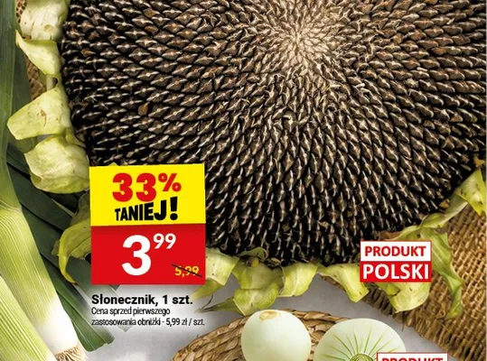 Słonecznik polski promocja w Twój Market