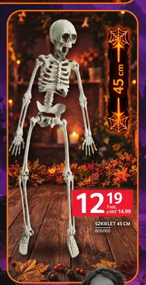 Szkielet 45 cm promocja w Selgros