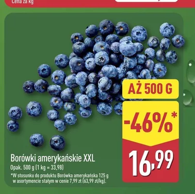 Borówki amerykańskie XXL promocja w Aldi