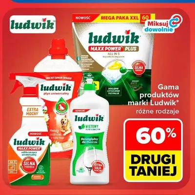 Płyn do mycia naczyń Ludwik miętowy promocja w Carrefour