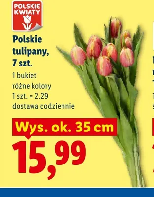 Polskie tulipany Polskie Kwiaty 7-pak promocja w Lidl