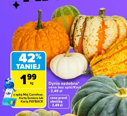 Dynia ozdobna promocja w Carrefour