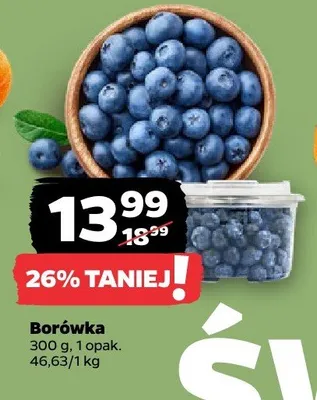 Borówki promocja w Netto