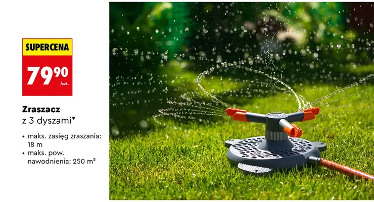 Zraszacz z 3 dyszami promocja w Biedronka