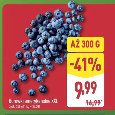 Borówki amerykańskie XXL promocja w Aldi