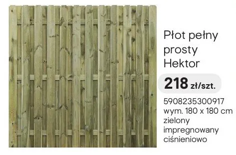 Płot pełny prosty Hektor promocja w Castorama