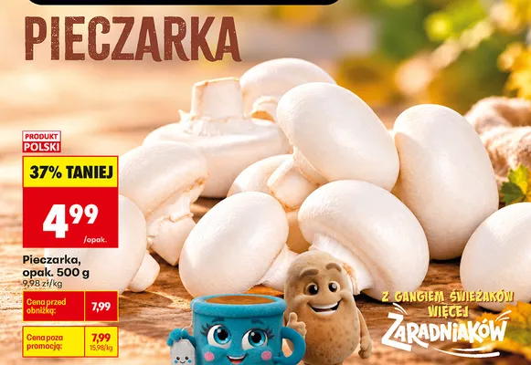 Pieczarka promocja w Biedronka