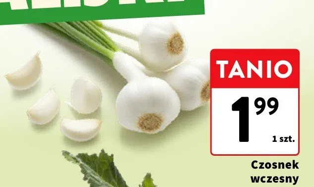 Czosnek wczesny promocja w Intermarche