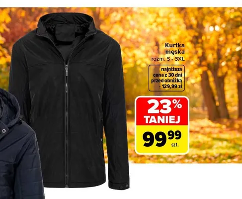 Kurtka męska promocja w Carrefour