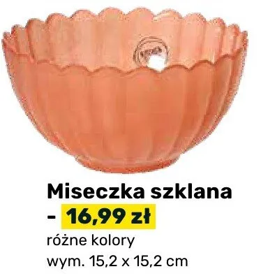Miseczka szklana promocja w Bricomarche