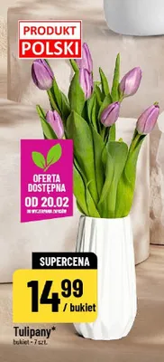 Tulipany promocja w POLOmarket