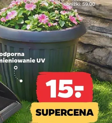 Donica okrągła promocja w Netto