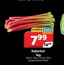 Rabarbar promocja w Delfin