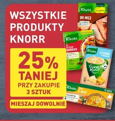 Zupa błyskawiczna Gorący Kubek Knorr promocja w Aldi