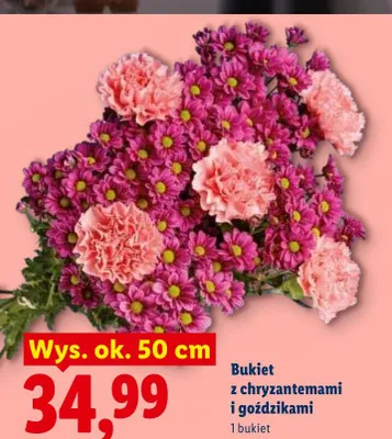 Bukiet z chryzantemami i goździkami wys. ok. 50cm promocja w Lidl