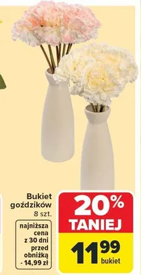 Bukiet goździków, 8 szt. promocja w Carrefour