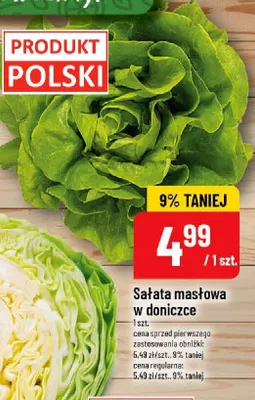 Sałata masłowa w doniczce promocja w POLOmarket