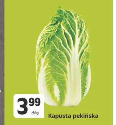 Kapusta pekińska promocja w Marketvita
