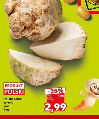Seler korzeń polski promocja w Kaufland
