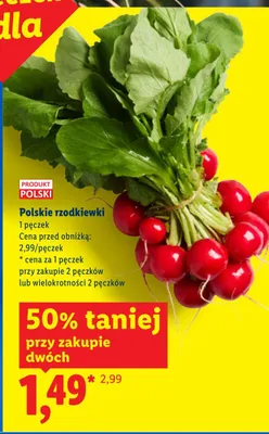 Rzodkiewki polskie promocja w Lidl