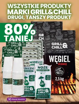Łyżeczki wielokrotnego użytku Grill & Chill 25-pak promocja w Dino