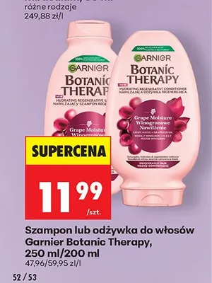 Szampon do włosów Garnier Botanic Therapy Winogronowe Nawilżenie promocja w Biedronka