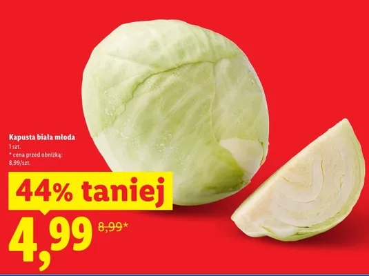 Kapusta biała młoda promocja w Lidl