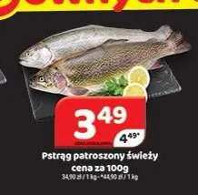 Pstrąg patroszony świeży promocja w Delfin