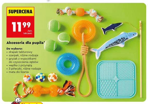 Drapak tekturowy promocja w Biedronka