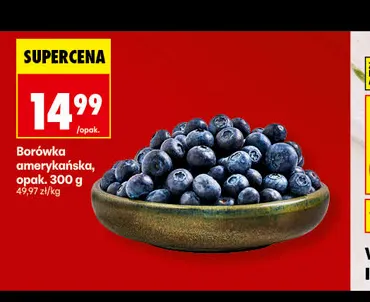 Borówki amerykańskie promocja w Biedronka