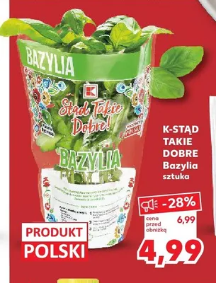 Bazylia sztuka promocja w Kaufland