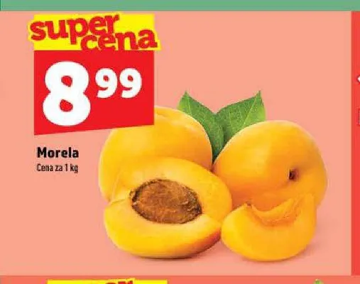 Morela promocja w TOPAZ
