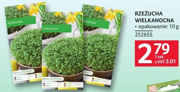 Rzeżucha wielkanocna promocja w Selgros