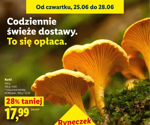 Kurki promocja w Lidl