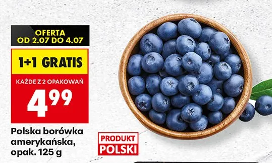 Borówka amerykańska polska promocja w Biedronka