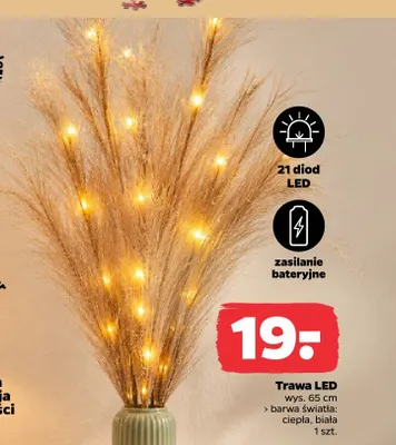 Trawa LED promocja w Netto