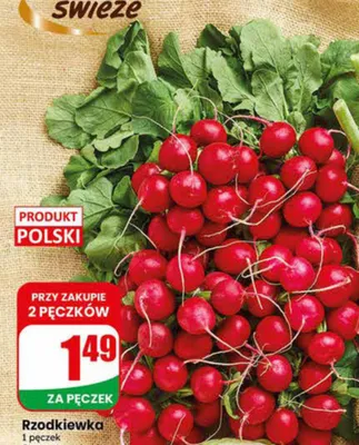 Rzodkiewka polska promocja w Dino
