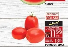 Pomidor lima polski promocja w Wafelek