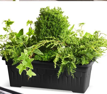 Skrzynka o dł. 60 cm promocja w Biedronka