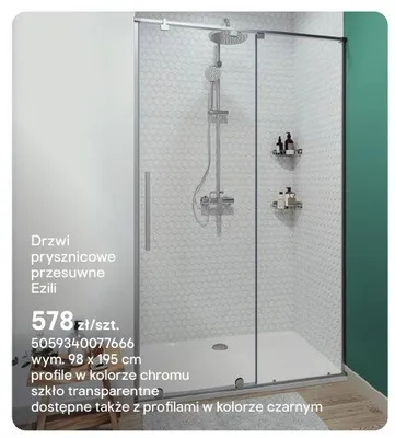 Drzwi prysznicowe przesuwne Ezili 98x195 cm promocja w Castorama