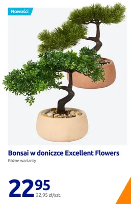 Bonsai w doniczce Excellent Flowers promocja w Action