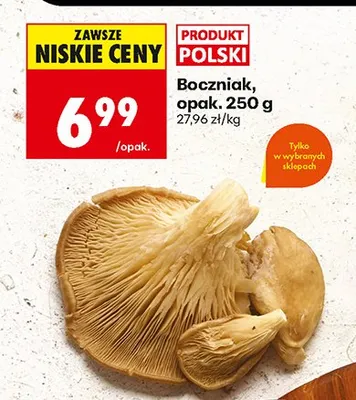 Boczniak promocja w Biedronka