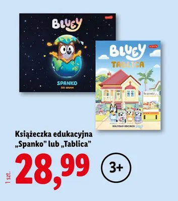 Książeczka edukacyjna Bluey Tablica promocja w Lidl