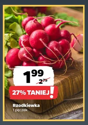 Rzodkiewka promocja w Netto