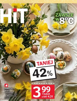 Żonkil cięty 10 szt. promocja w Selgros