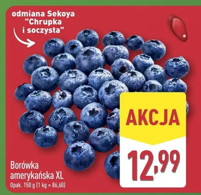 Borówka amerykańska shaker promocja w Aldi